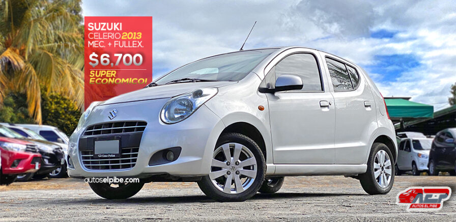 CELERIO 2013